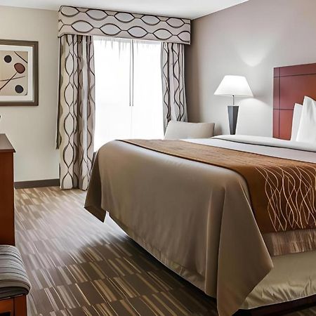 Comfort Inn & Suites University South Ann Arbor Eksteriør billede