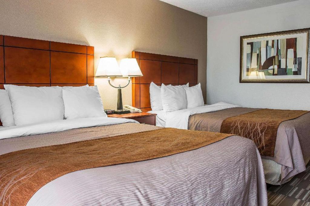 Comfort Inn & Suites University South Ann Arbor Eksteriør billede