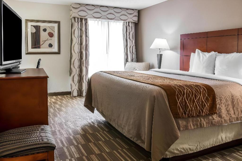 Comfort Inn & Suites University South Ann Arbor Eksteriør billede