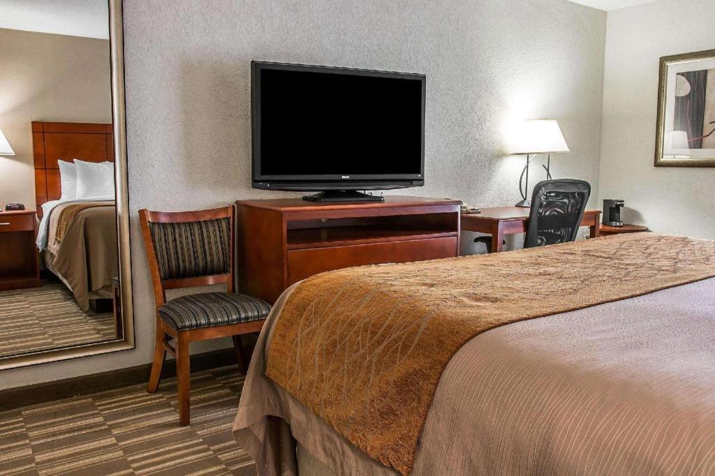 Comfort Inn & Suites University South Ann Arbor Eksteriør billede