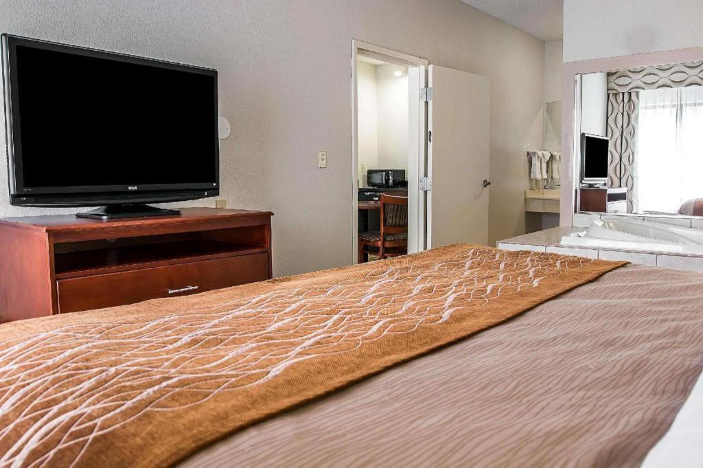 Comfort Inn & Suites University South Ann Arbor Eksteriør billede