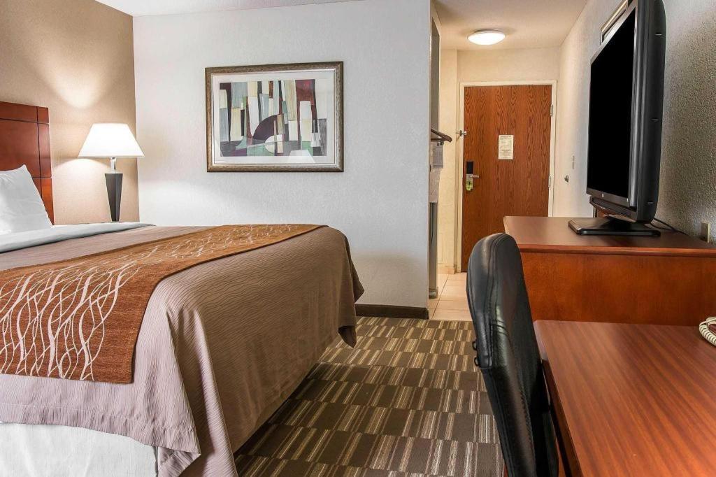 Comfort Inn & Suites University South Ann Arbor Eksteriør billede
