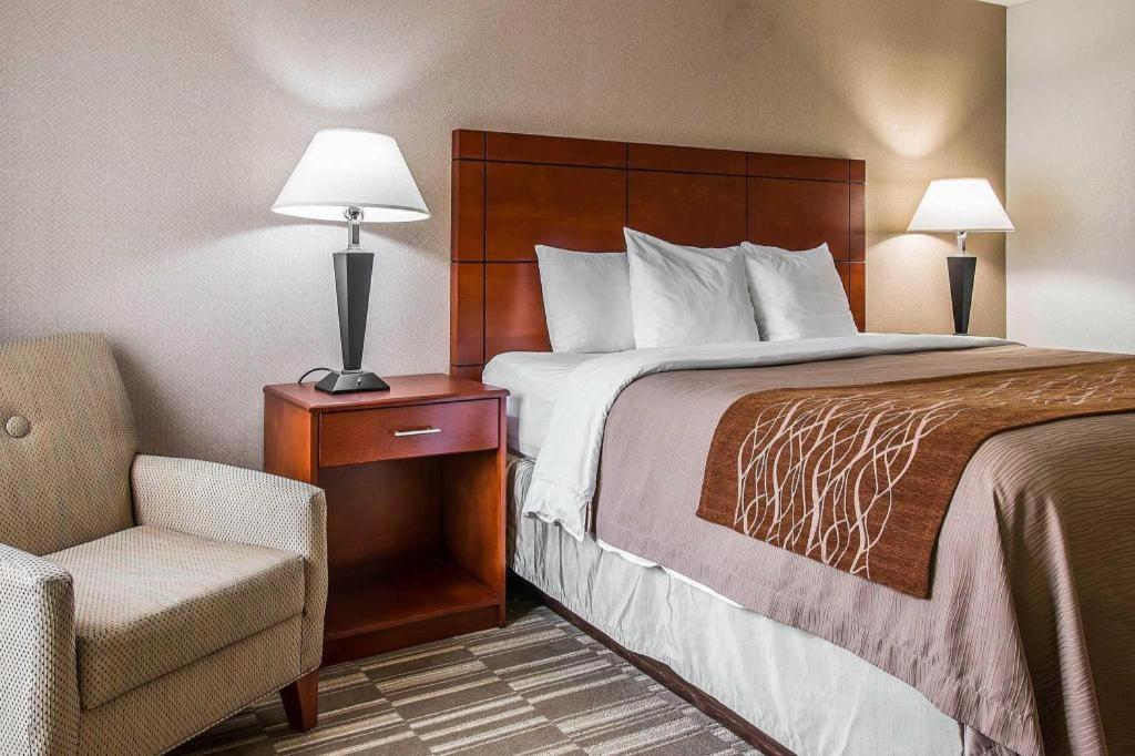 Comfort Inn & Suites University South Ann Arbor Eksteriør billede