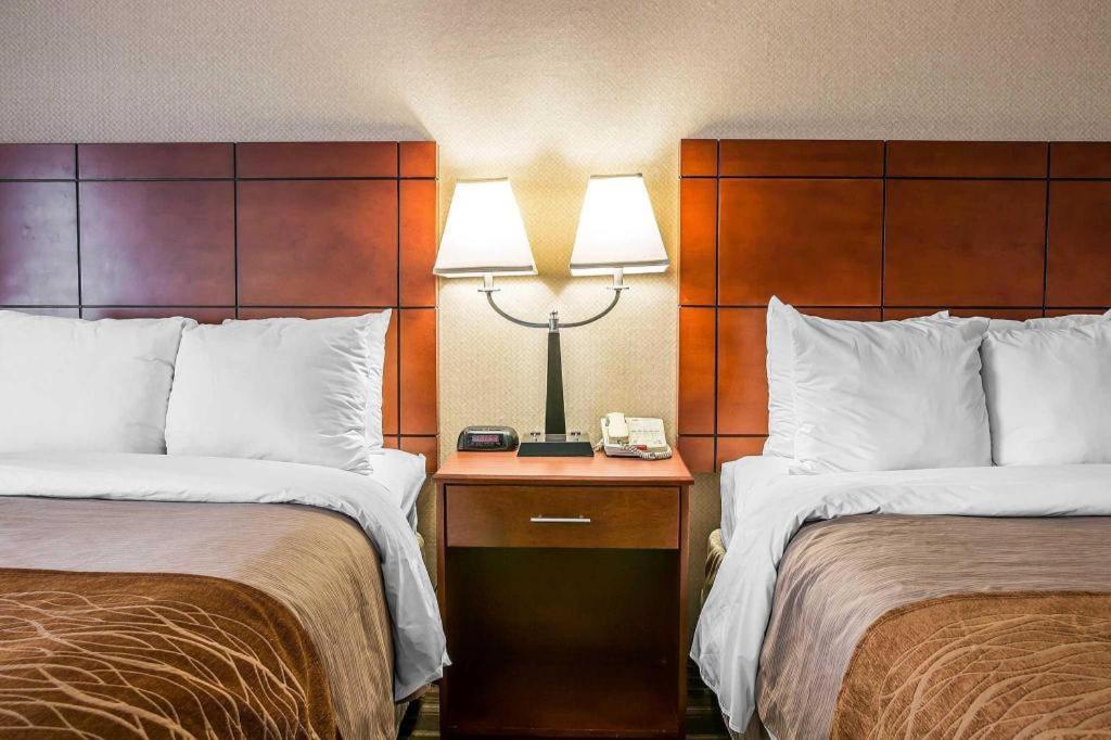 Comfort Inn & Suites University South Ann Arbor Eksteriør billede