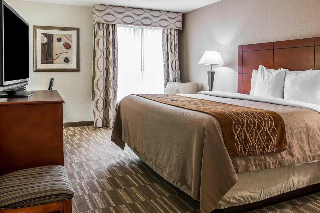 Comfort Inn & Suites University South Ann Arbor Eksteriør billede