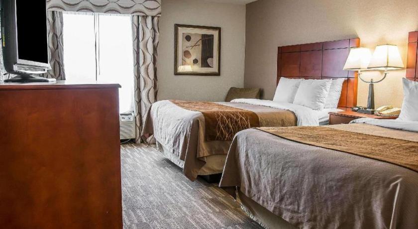 Comfort Inn & Suites University South Ann Arbor Eksteriør billede