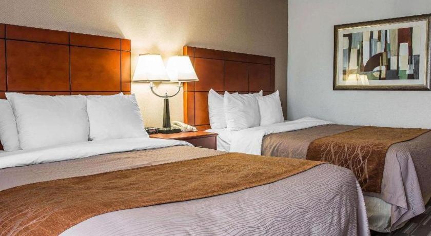 Comfort Inn & Suites University South Ann Arbor Eksteriør billede