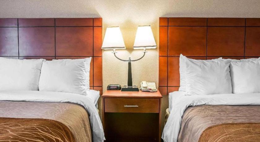 Comfort Inn & Suites University South Ann Arbor Eksteriør billede