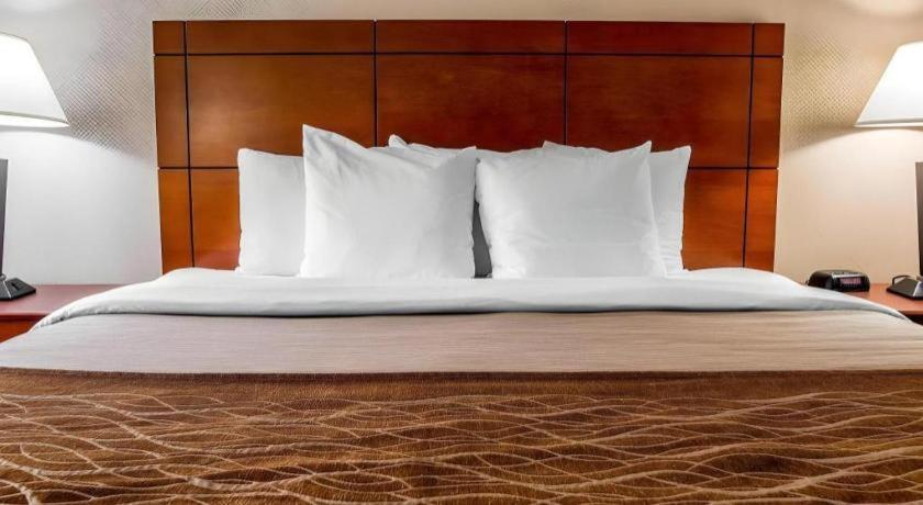 Comfort Inn & Suites University South Ann Arbor Eksteriør billede