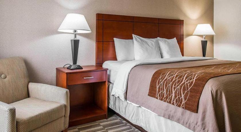 Comfort Inn & Suites University South Ann Arbor Eksteriør billede