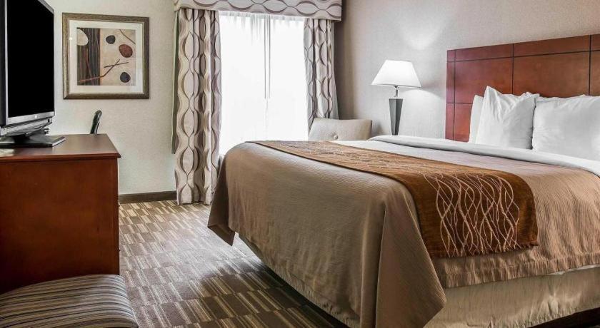 Comfort Inn & Suites University South Ann Arbor Eksteriør billede