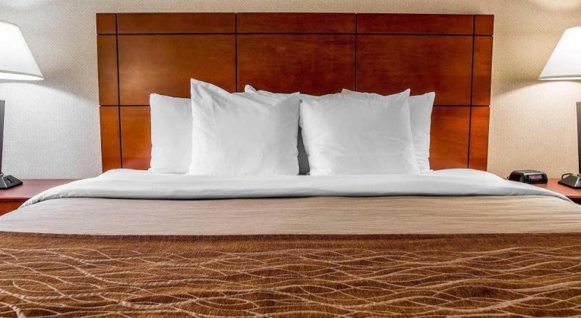 Comfort Inn & Suites University South Ann Arbor Eksteriør billede