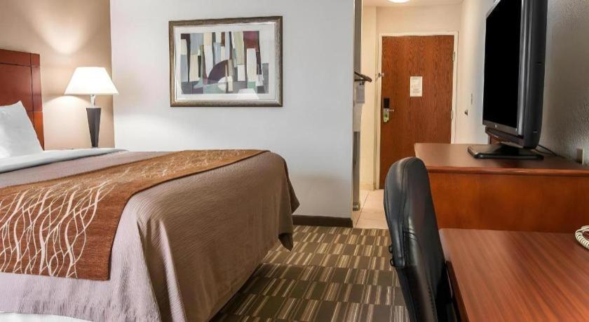 Comfort Inn & Suites University South Ann Arbor Eksteriør billede